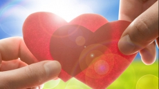 How 'love hormone' regulates sexual behaviour