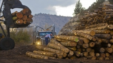 Blame Game Already On As Canada-US Softwood Deal Expires; No Talks On Horizon