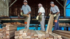Lumber Producer Canfor Cuts Production And Capital Spending Due To COVID-19