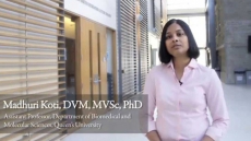 Cancer Treatment Breakthrough By Indian American Professor Madhuri Koti