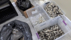 Surrey RCMP takes the magic out of illicit mushroom grow-op