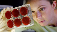 How drug development can be a child's play