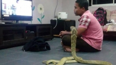 Heartbroken Man Lives With Snake He Thinks Is His Dead Girlfriend Reincarnated