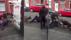 VIDEO: Wanted Criminal Bites Off Police Dog’s Ear While Trying To Escape Arrest