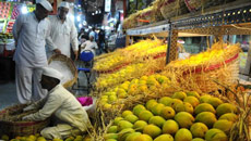 Apex chamber condemns EU ban on Indian mango, vegetables