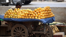 Minor's killing for stealing mango triggers tension