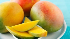 100 gm mango daily may cut blood sugar in obese