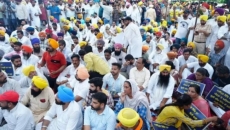 Manipur violence: AAP stages protest in Chandigarh