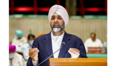 Punjab must be considered as security case for budgetary allocation: state FM