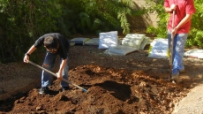 What You Don't Know About Manure Use In The Landscape Could Hurt You