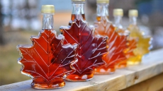 Canadian Maple Syrup Producers On Tap For Warmer Days To Get Sap Flowing