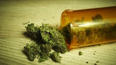 Marijuana may treat Alzheimer's