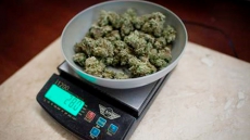 Federal Government Disapproves Of Vancouver Plan To Regulate Medical Pot Shops