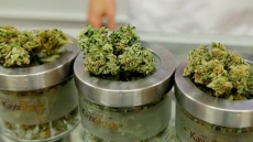 B.C. Not Worried About Only Having One Pot Shop On Legalization Day: Spokeswoman