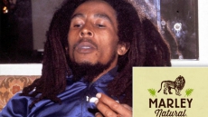 Marijuana Gets A Name: Marley Natural!