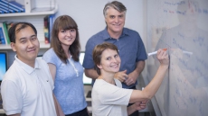 Are you good at maths? Read on