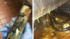 PICS: US Mcdonald's Staff Shares Gross Photos Of Ice Cream Machine, Gets Fired
