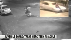 Mercedes Hit-and-Run: Delhi Minor To Be Tried As An Adult