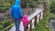 Foster Parents Lose Bid To Keep Metis Toddler In B.C.: Lawyer Files Appeal