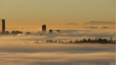 Thick fog blankets Metro Vancouver