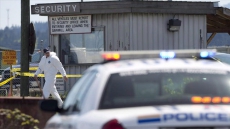 Find Mill Shooter Not Guilty Because He Was Depressed: Defence Lawyer Says