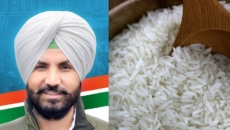 Paddy growers face hardships owing to strike by rice millers: Punjab Congress chief