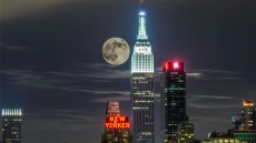 Loony, To Blame Moon For Things Going Haywire