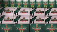 Fight Brewing Between Moosehead Breweries, Regina Beer Maker Over Beer Name