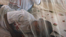 Mobile phone data can help combat malaria: Study