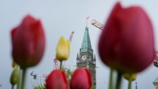 MPs pass spending bill, opt to head home for summer break