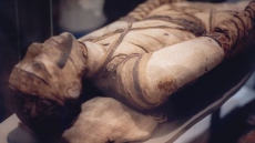 Mummy wearing jewellery unearthed in Egypt