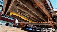 New Brunswick Man Who Smuggled Narwhal Tusks Loses Appeal Of Extradition