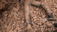 Over 5,000 Dead In Nepal Quake; 1,600 Tourists Rescued