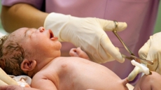 Delay in cutting umbilical cord good for newborns