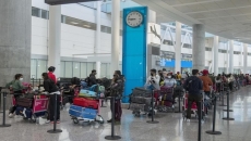 G7 supports 'common platform' on vaccine status