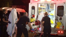 Woman Recovering From Serious Injuries After New Westminster Pit Bull Attack