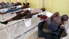 20 die of cholera in Nigeria