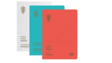 Norway To Reconsider Regulations For Passport Photos Of Sikhs: Harsimrat Kaur Badal