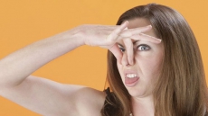 How our nose detects odours