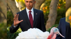 For Obama, Thanksgiving Is All About Food, Football And Hoping Turkey Doesn't Turn Out Too Dry