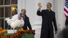 There's No Free Lunch For Obama On Thanksgiving Or Any Other Day
