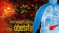 Neuronal 'sweet spot' can curb obesity