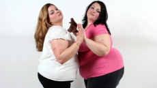 Lead exposure can make you fat