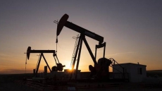 Mounting Orphan B.C. Oil, Gas Wells Pose Environmental, Financial Risks: Auditor