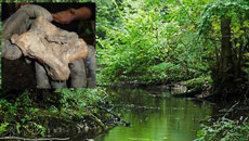 Britain's oldest town unearthed