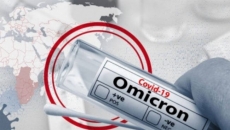 XBB.1.16 variant drives global surge in Covid cases, deaths