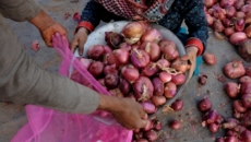 No black marketing of onions and tomato reported: Centre