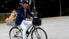 Online Animals Of The Year Got Attention With Cuteness, Causes, Big Eyes - And A Rat's Resolve