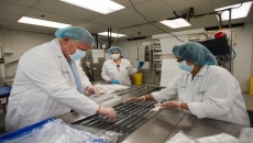 Most regions outside Toronto-Hamilton area moving to Stage 2 of reopening