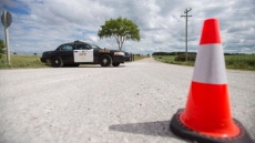 Ontario Woman Charged With Tossing Three Kittens From Moving Car